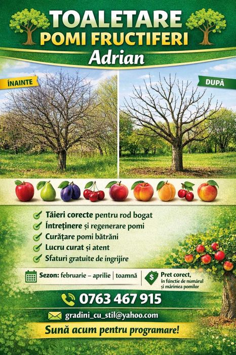 Toaletare Pomi Fructiferi