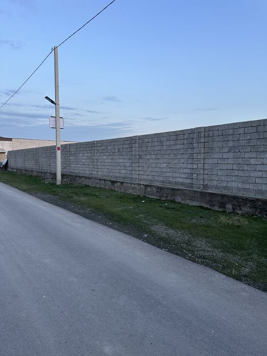 Yangi hayot soʻtigi 12000 dan