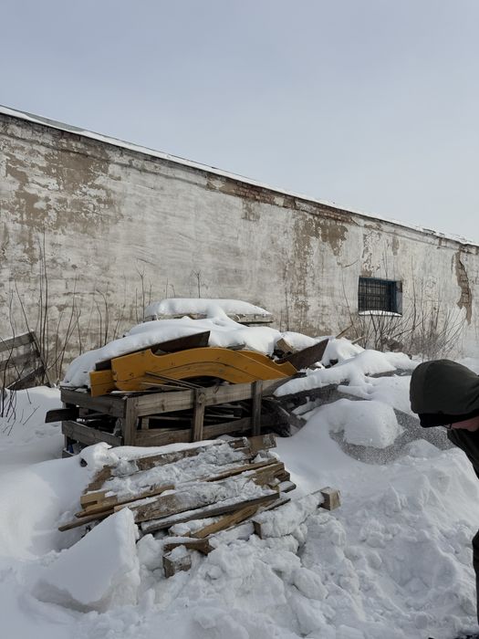 Бесплатно дерево