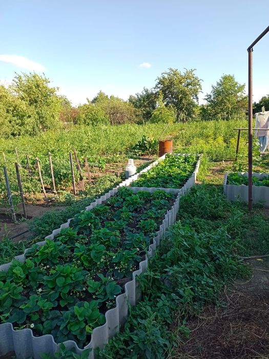 Срочно продам дачу в Ягодке