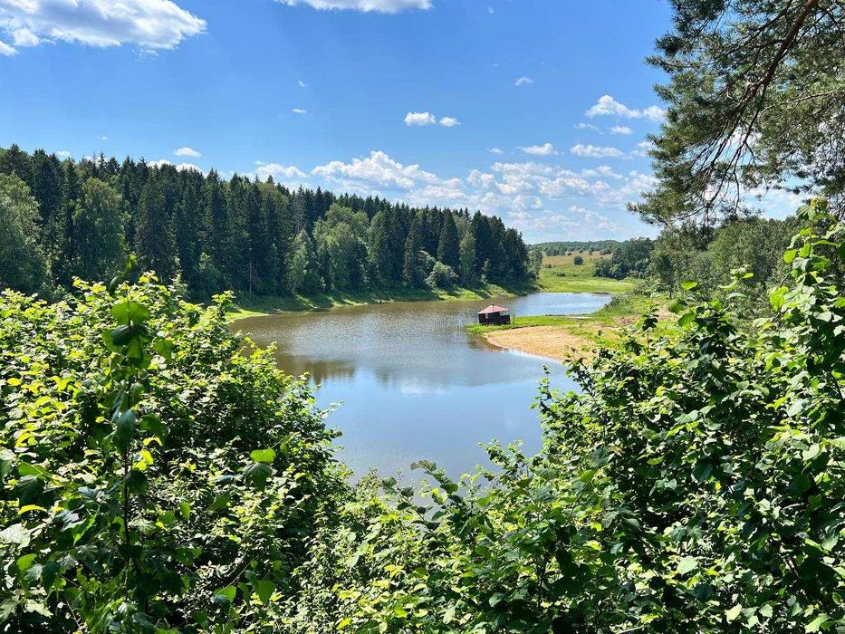 #Продажбанаакции #акционернодружество #създавамеферма #съкооператори