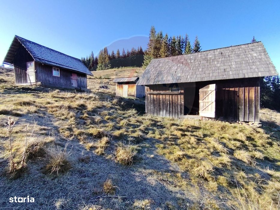 Teren 31,461mp Panaci / Prelungirea Ialovita