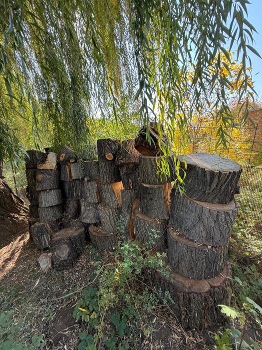 Продам дрова сухие