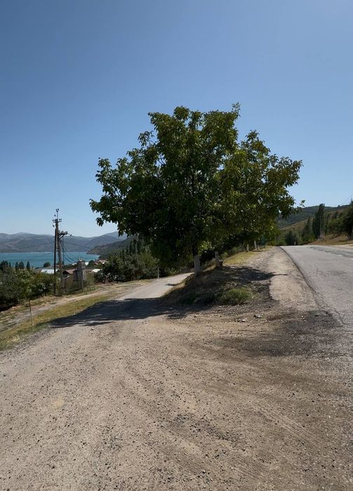 Sijjakda 16 sotik dacha sotiladi 8 sotikdan