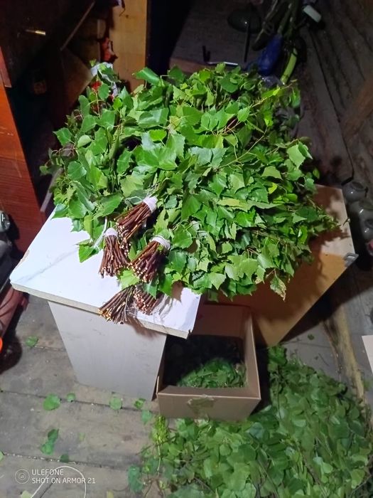 Продам банные веники