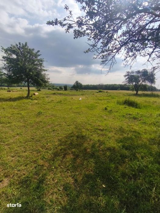 Casa+teren 5000mp, 70ml la DN 2E, zona Cacica, Radauti