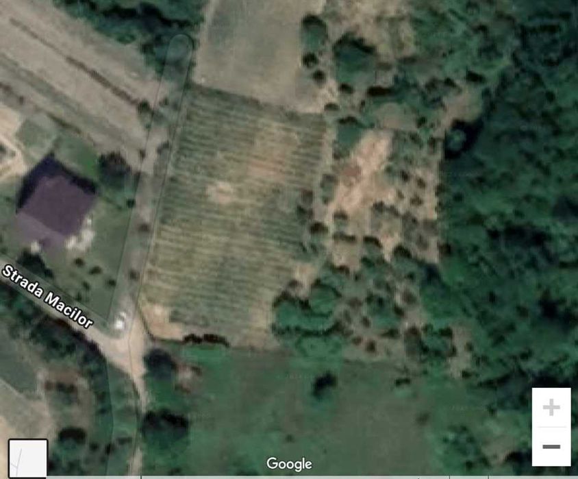 Vand teren intravilan 3500mp in Zalau Ortelec