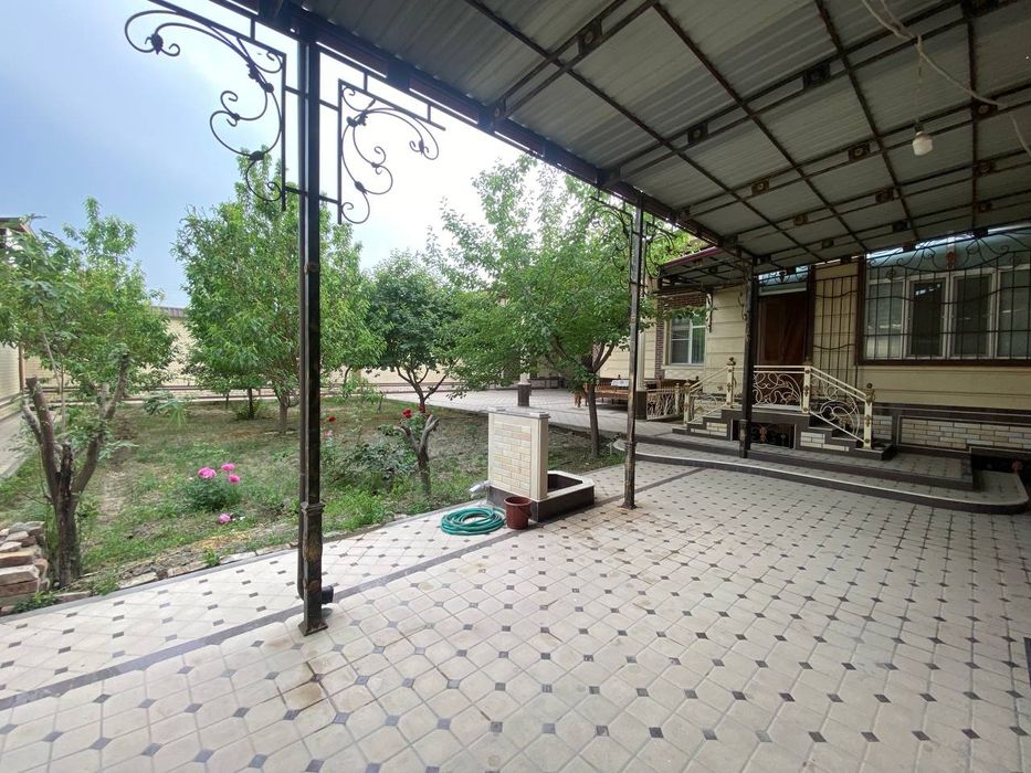 Kotej sotiladi mindonobod