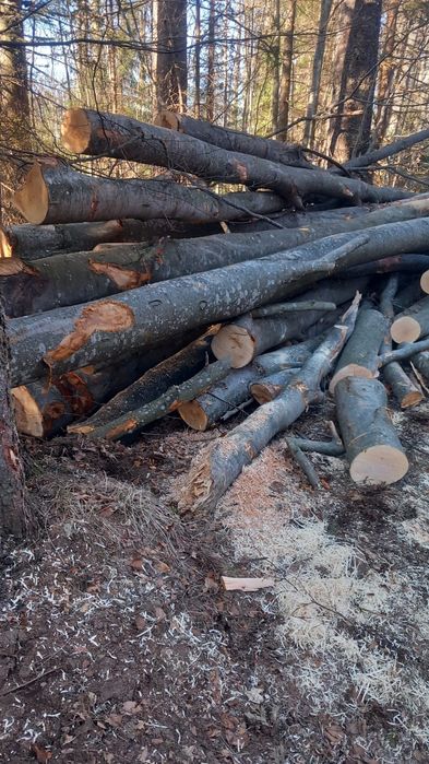 Vând lemne de foc fag crepatura și răritură  detali la tel 0745362981