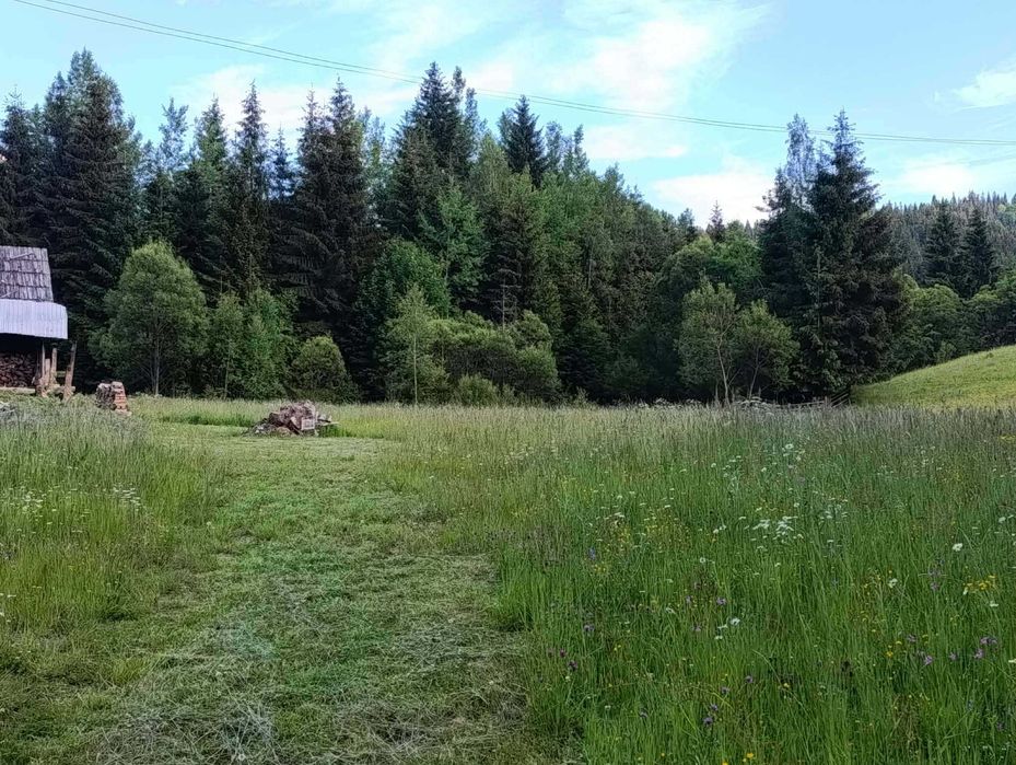 Vand 2500 mp teren intravilan + casuta de munte racordata la EON