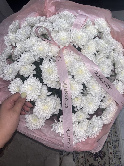 свежие белые хризантемы.