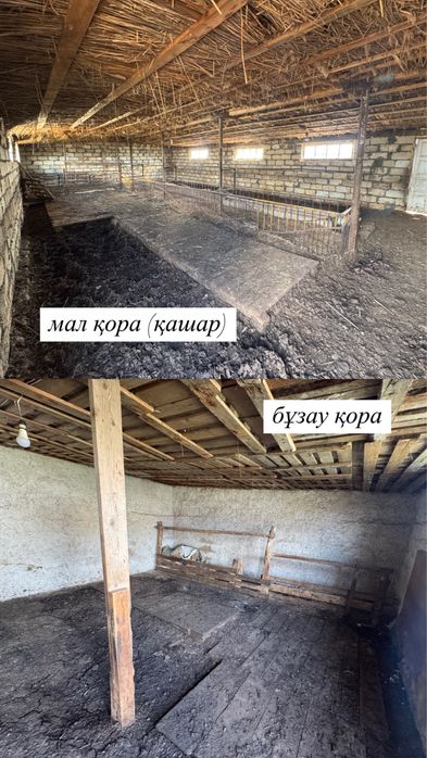Ауылда Үй малымен сатамын!!