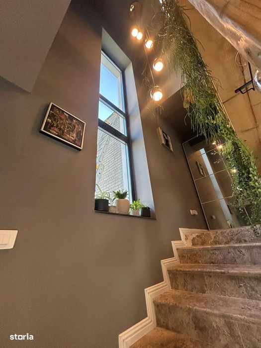 Vila cu 6 camere in Nicolina - T. Neculai