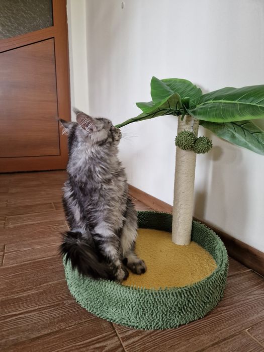 Драскалка за котки палма MP12