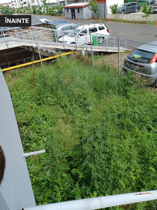 Servicii de taiat arbori,gazon,defrisari,erbicidat.Curățat terenuri