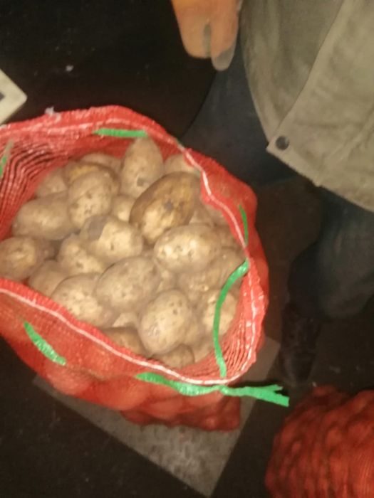 Продам картофель едововой
