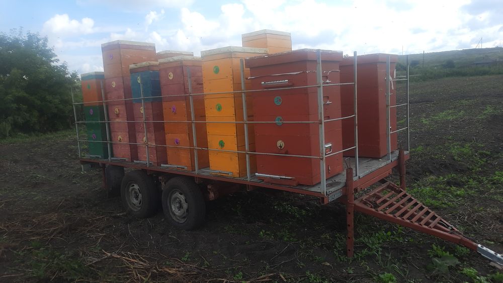 Продам пчело-прицеп!