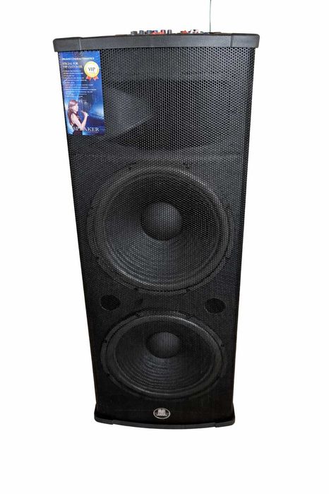 Boxe Profesionale Active cu Bluetooth 1120W+2 Mic Eghe/Vlliodor/NRS