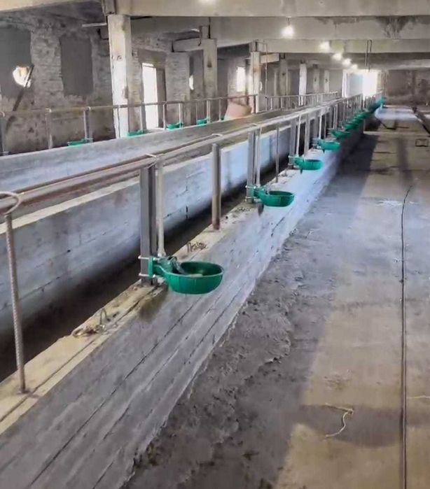 Поилка для КРС автоматически