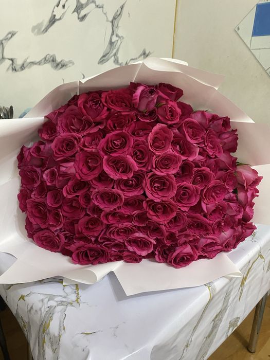 Продам 101 розы свежее