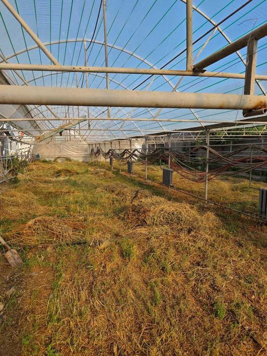 Продается парник на 7 соток или сдам в Аренду