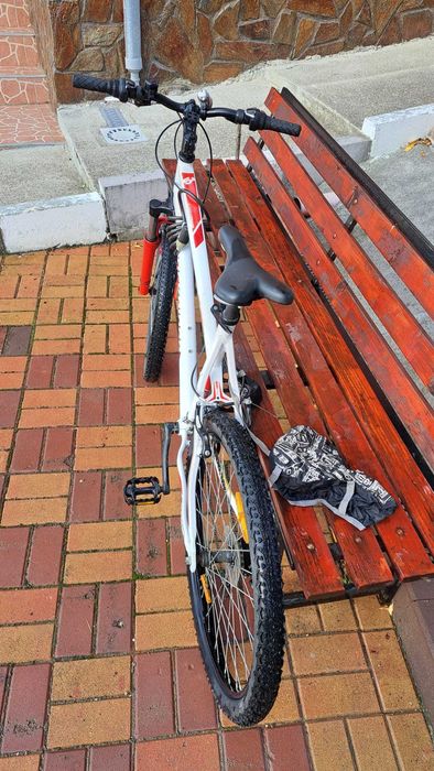 Bicicleta Mountain Bike