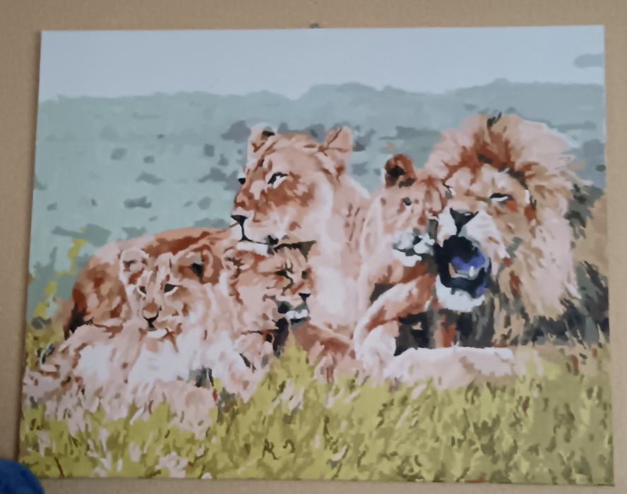 Картины по номерам 5000