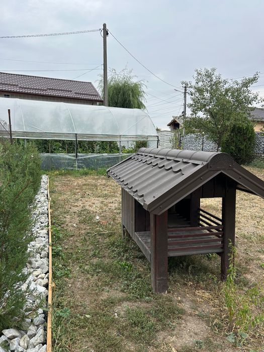 Căsuța pentru câini