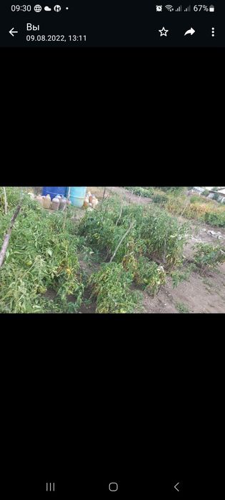 Продам дачу район Лесхоз