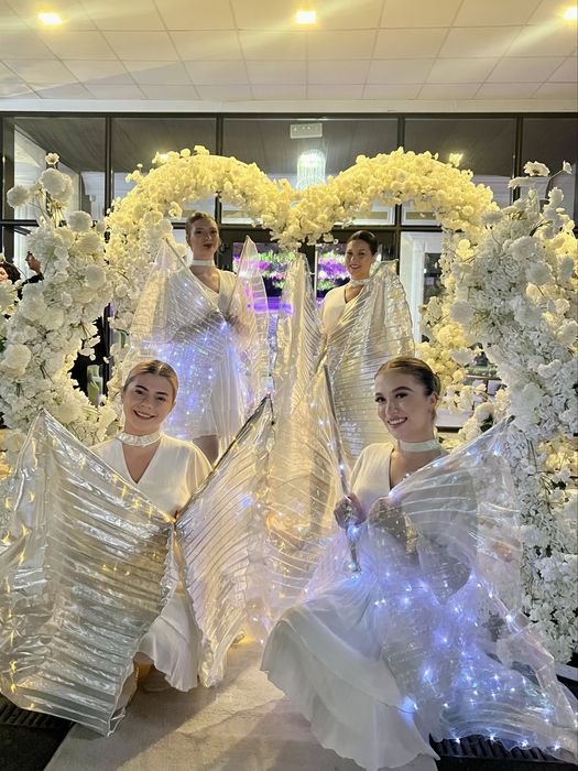 Dansatoare belly dance / tiganesc / tobosari/ ingerasi