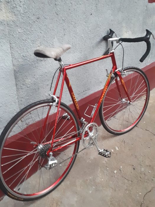 Cursieră LUDO Belgia-clasică