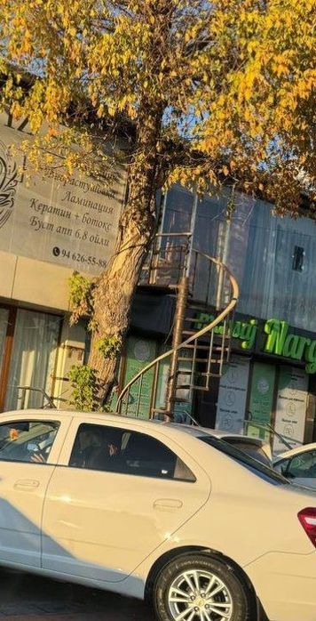 temir Zina sotiladi srochnaaaa