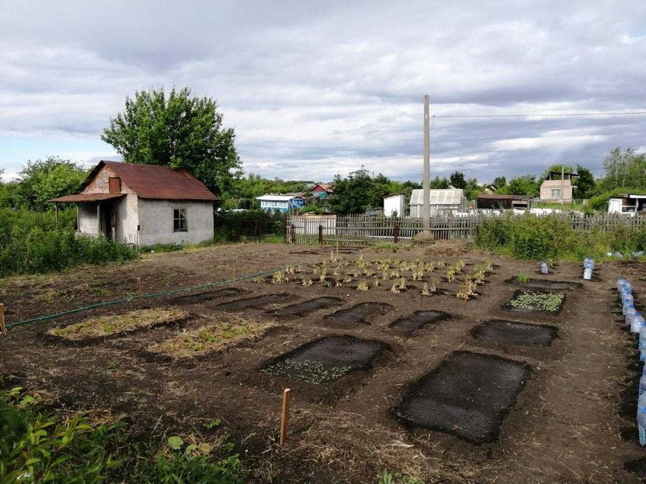 Продам ДАЧУ в дачном сообществе ДРУЖБА