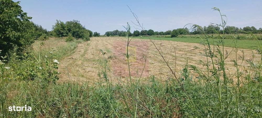 Săbăreni, teren intravilan 665 mp, aproape de DJ 602