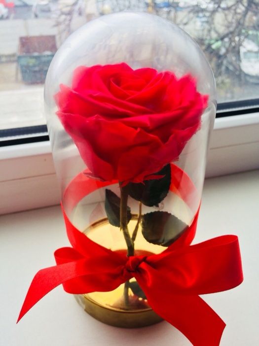 Trandafir rosu roze xxl 150 lei