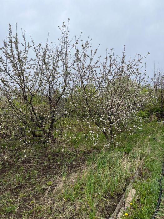 Продам дачный участок