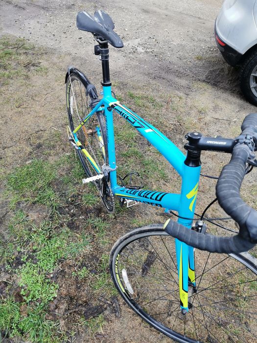 Cursiera  specelized elit