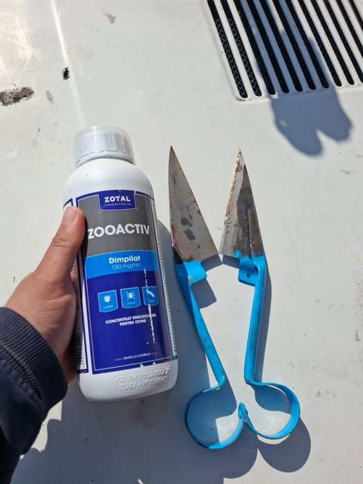 Foarfece tuns oi si soluție  imbaiere oi ,nu se vand separat