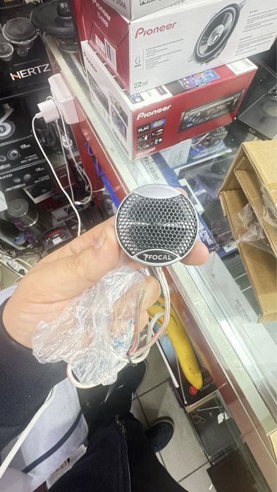 FOCAL EXPERT ps 165 v1