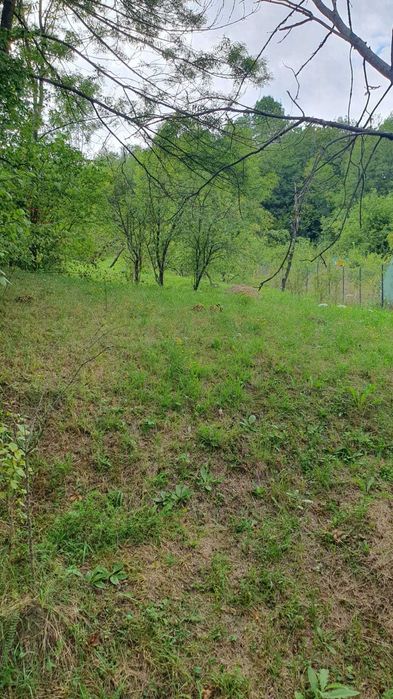Vând teren intravilan Aluniș Prahova