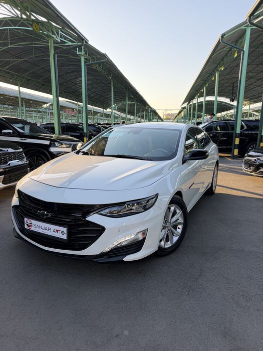 Malibu 2 XL 2024 bir qol