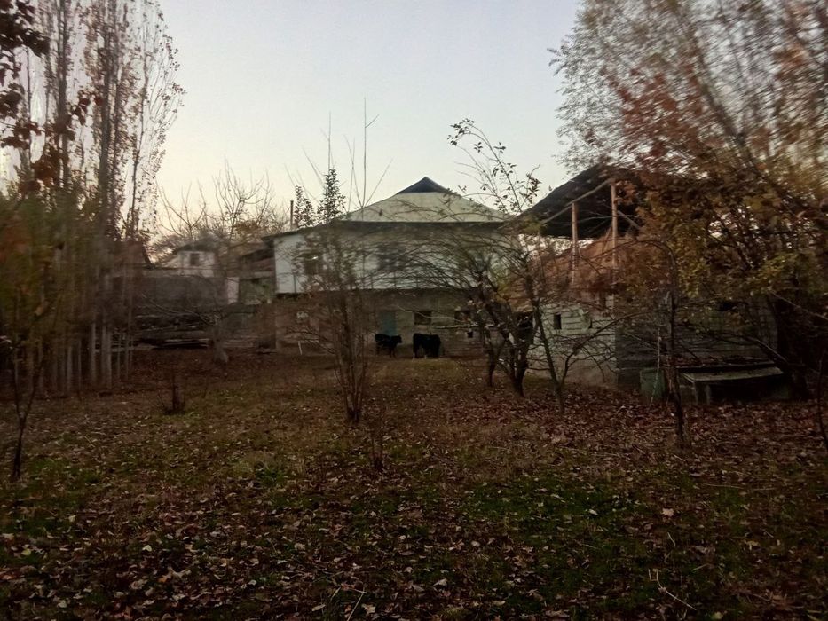 Xovli sotiladi.srochna