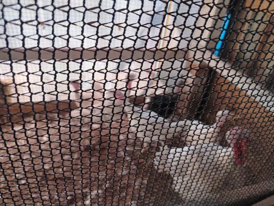 Ундук сатылады..