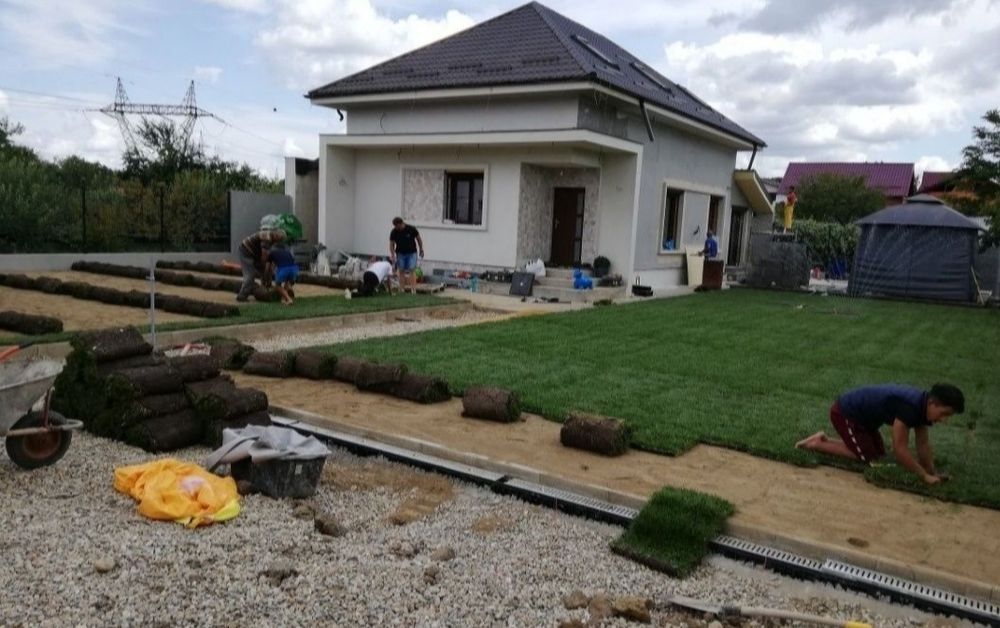 Gazon rulou de trafic 24 lei m2. Transport și montaj inclus în preț.