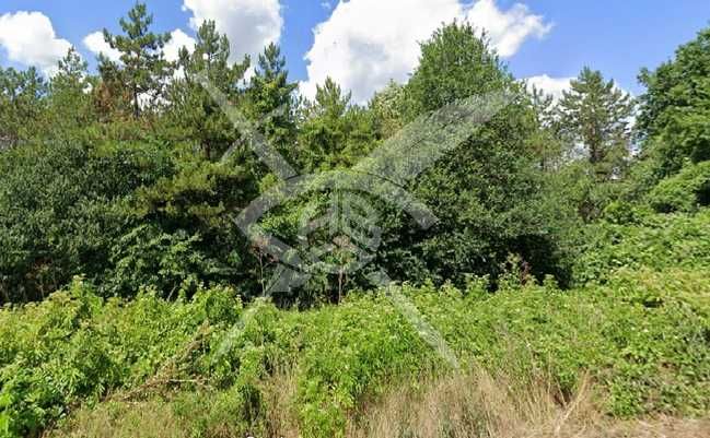 Продава се Парцел в с. Оброчище, Област Добрич - 6707 кв.м за 25 €/кв.м - Снимка #2