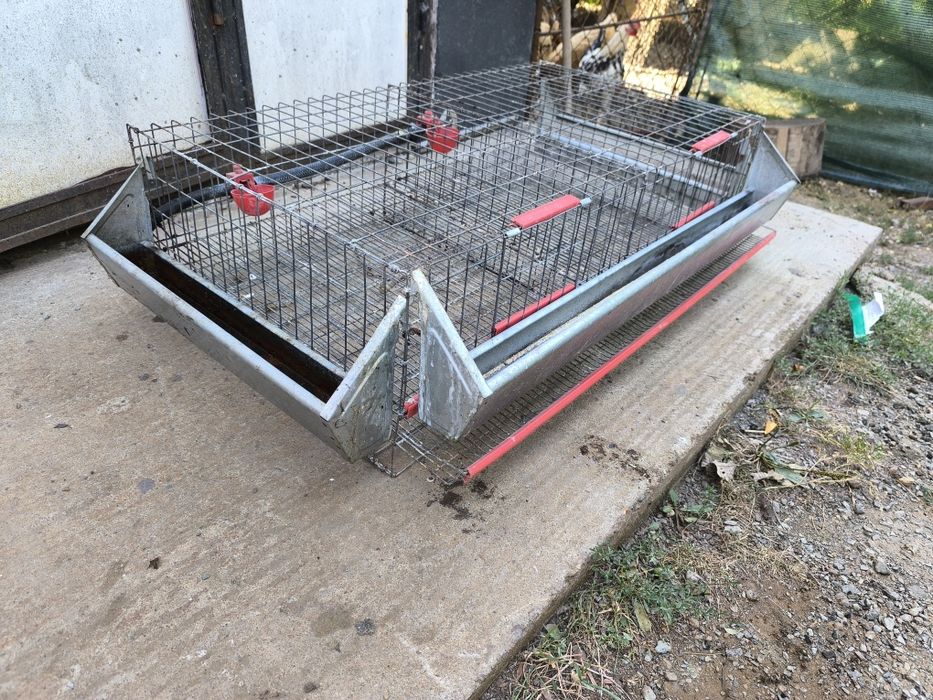 Vând cușcă prepelițe