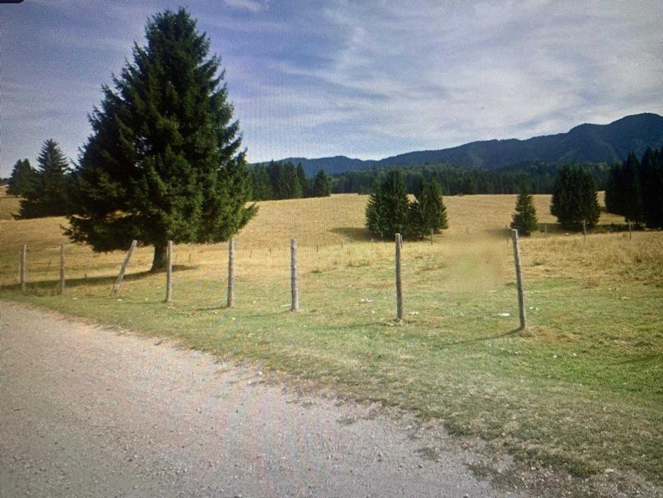 Teren intravilan Poiana Mica (Poiana Brasov)