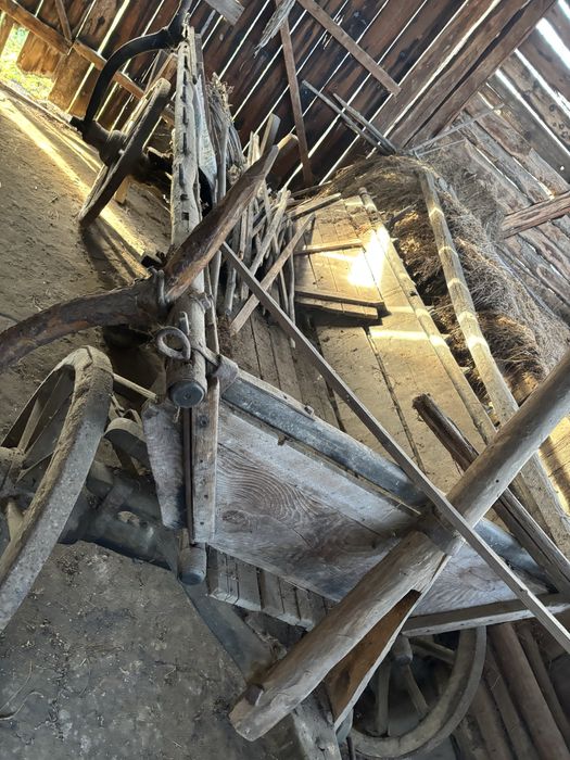 Decorațiune de căruța