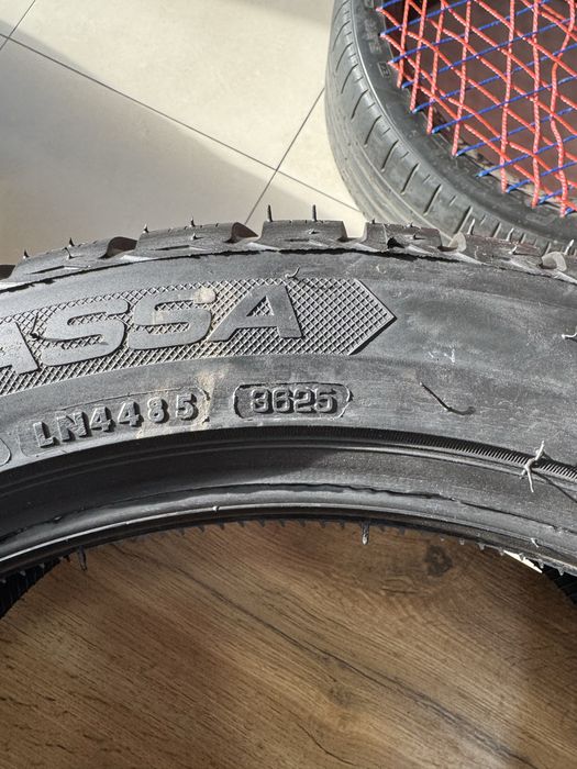 Lassa Competus winter 2