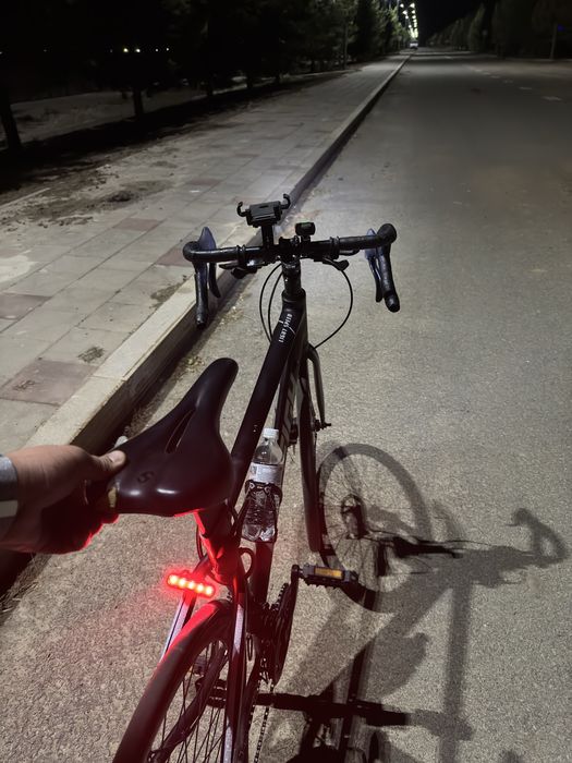 Raleigh Light Speed